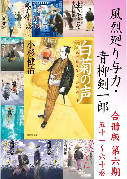風烈廻り与力・青柳剣一郎【合冊版】