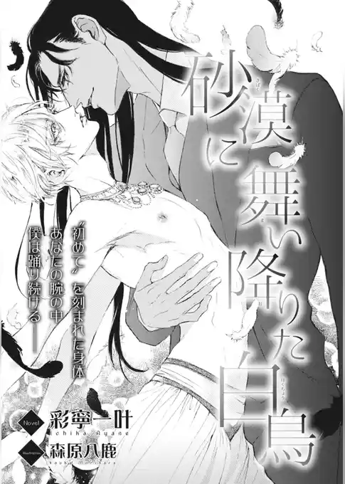 砂漠に舞い降りた白鳥