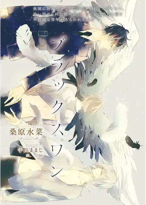 ブラックスワン