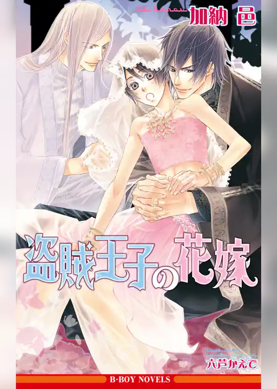 盗賊王子の花嫁