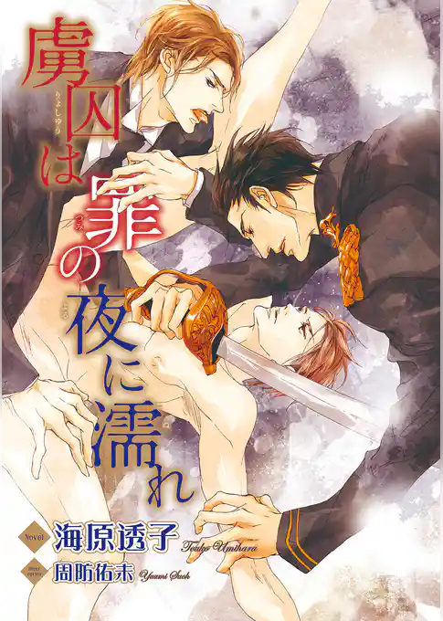 虜囚は罪の夜に濡れ