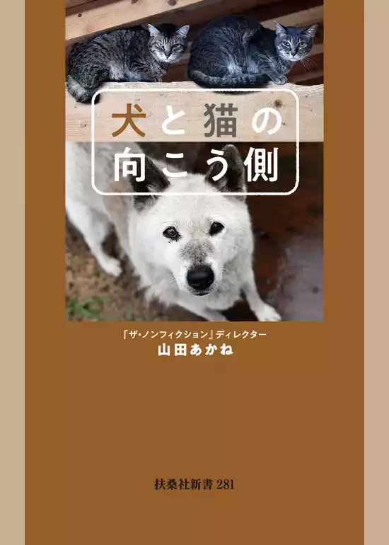 犬と猫の向こう側