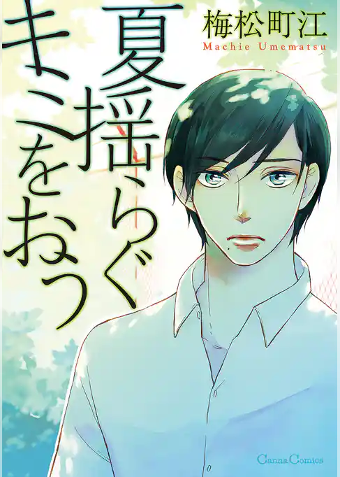 夏揺らぐキミをおう