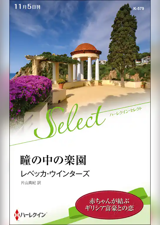 瞳の中の楽園【ハーレクイン・セレクト版】