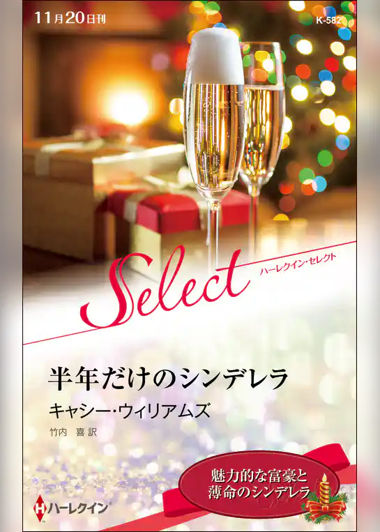 半年だけのシンデレラ