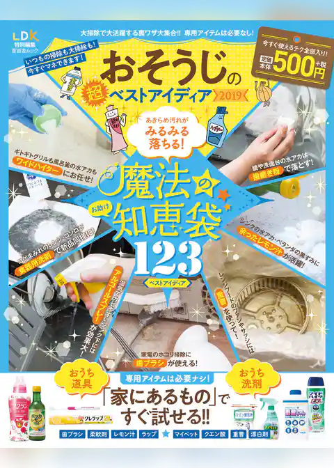 晋遊舎ムック　おそうじの超ベストアイディア2019