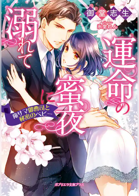 運命の蜜夜に溺れて　俺サマ御曹司と秘密のベビー