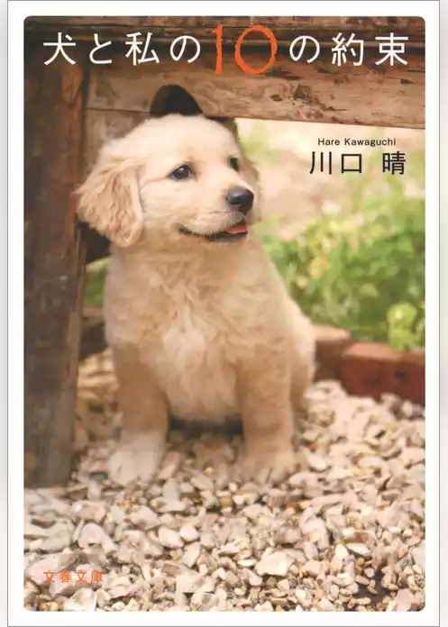 犬と私の10の約束