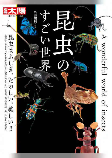 昆虫のすごい世界