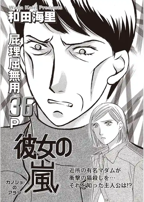 あなたの隣のモンスター主婦ＳＰ～彼女の嵐～