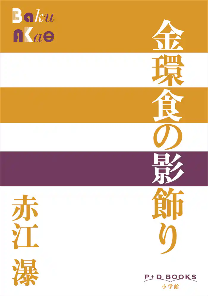 P+D BOOKS 金環食の影飾り