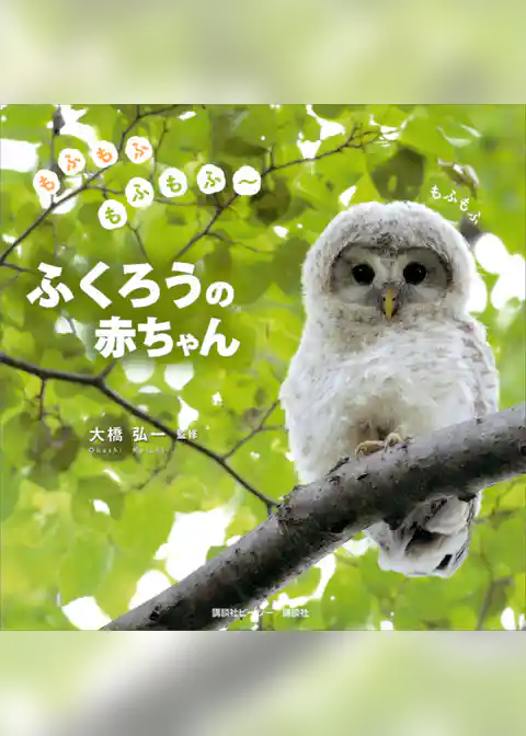 もふもふもふもふ～　ふくろうの赤ちゃん