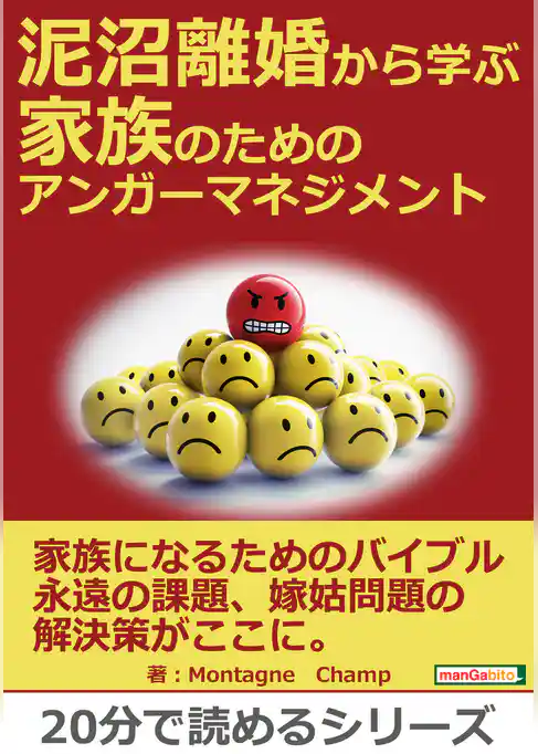 泥沼離婚から学ぶ　家族のためのアンガーマネジメント。