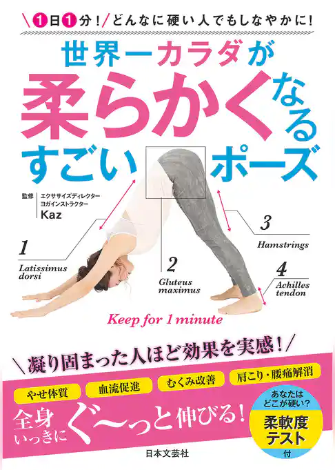 世界一カラダが柔らかくなる すごいポーズ