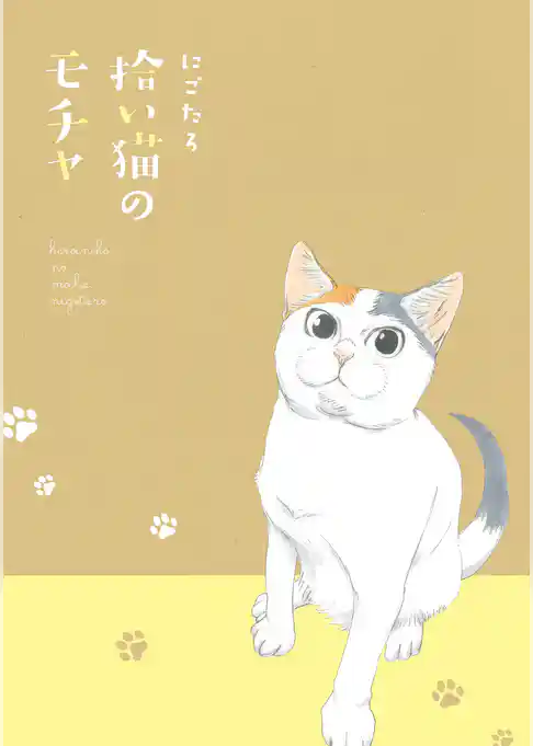 拾い猫のモチャ