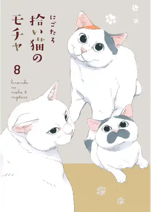 拾い猫のモチャ
