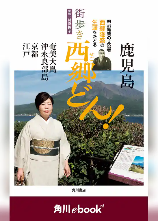 街歩き　西郷どん！　（角川ebook　nf）