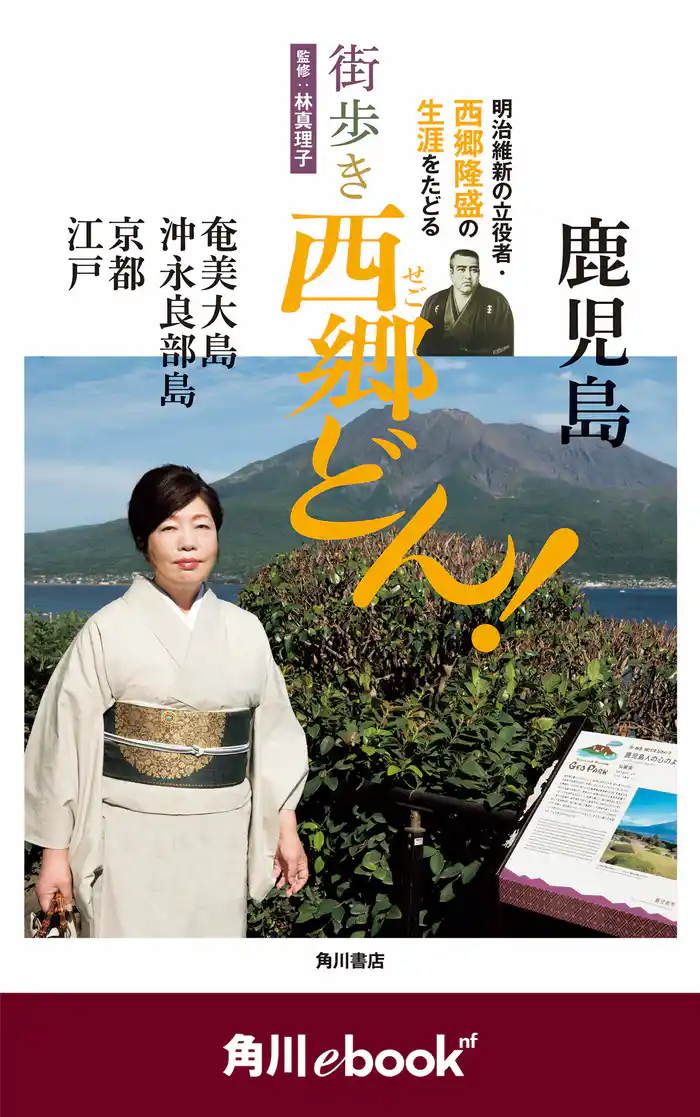 街歩き 西郷どん! (角川ebook nf)