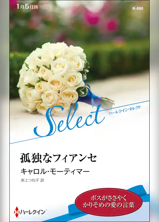 孤独なフィアンセ【ハーレクイン・セレクト版】