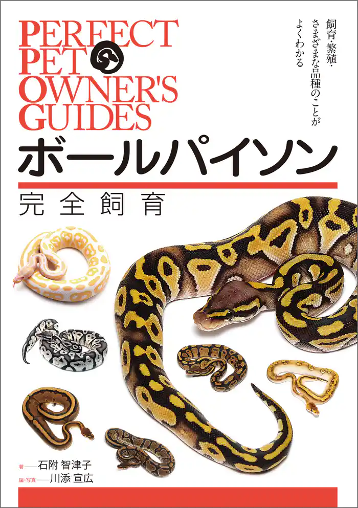 ボールパイソン完全飼育：飼育、繁殖、さまざまな品種のことがよくわかる