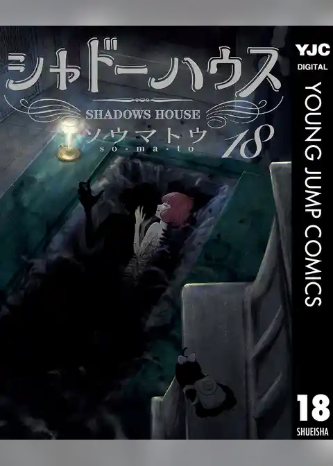 シャドーハウス 18
