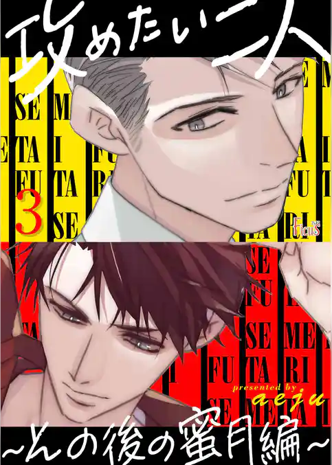 攻めたい二人～その後の蜜月編～（フルカラー）