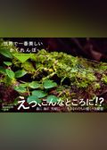 世界で一番美しいかくれんぼ　　～Ｈｉｄｄｅｎ　ｉｎ　Ｎａｔｕｒｅ ～