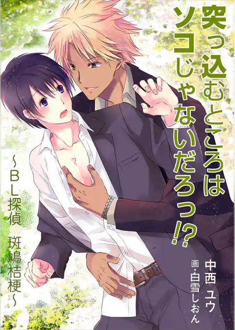 突っ込むところはソコじゃないだろっ！？　～ＢＬ探偵　斑鳩桔梗～