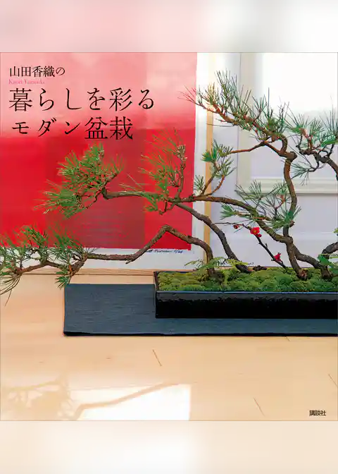 山田香織の暮らしを彩るモダン盆栽