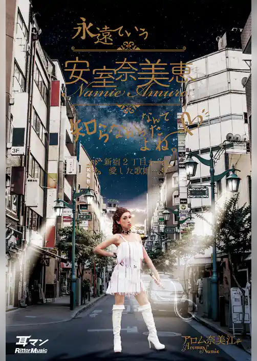 永遠ていう安室奈美恵なんて知らなかったよね。　新宿2丁目も愛した歌姫