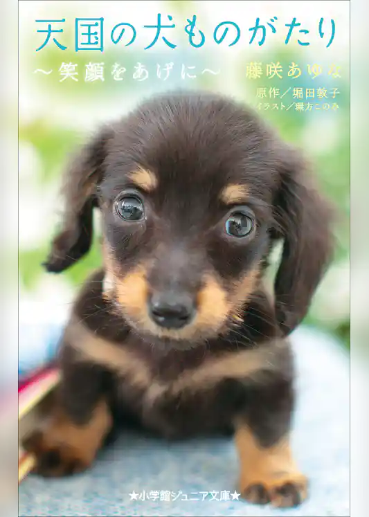 小学館ジュニア文庫　天国の犬ものがたり～笑顔をあげに～