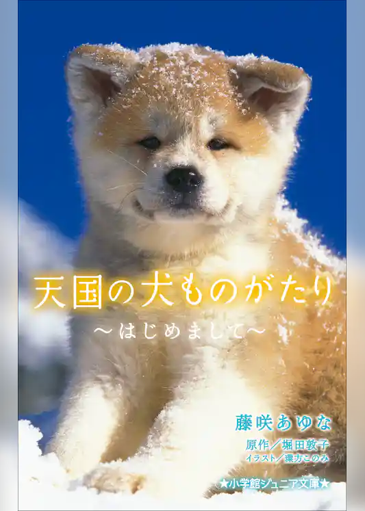 小学館ジュニア文庫　天国の犬ものがたり～はじめまして～