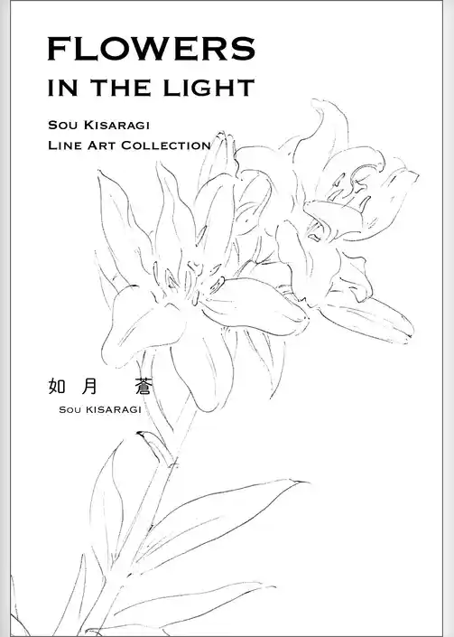 FLOWERS IN THE LIGHT  SOU KISARAGI LINE ART　COLLECTION