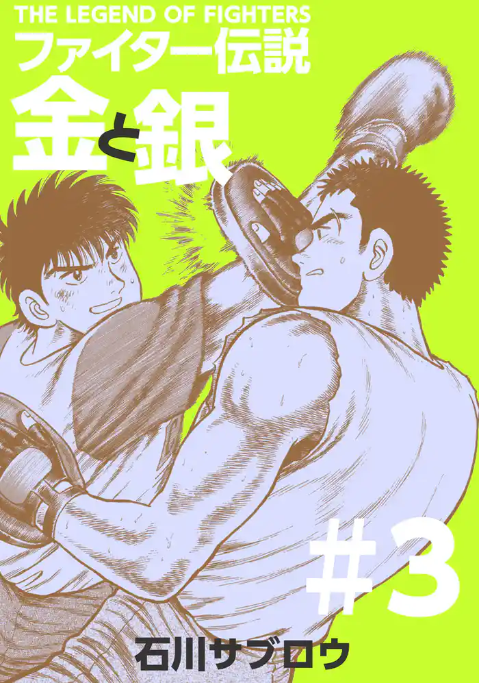 ファイター伝説金と銀 3巻
