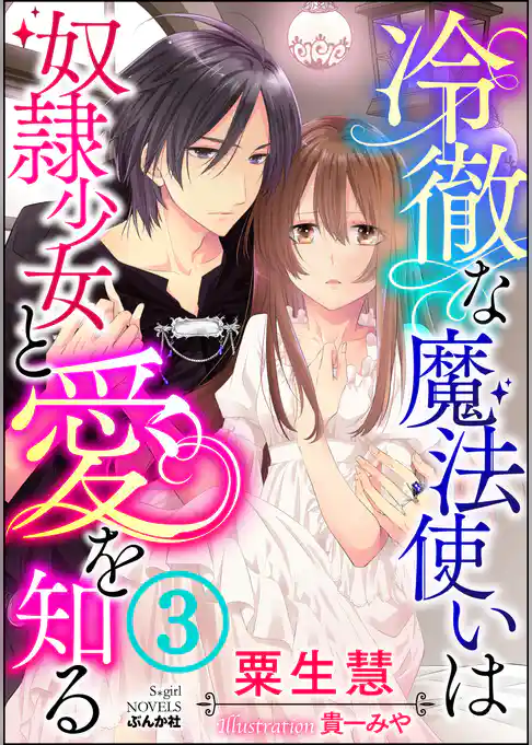 冷徹な魔法使いは奴隷少女と愛を知る【イラスト入り】