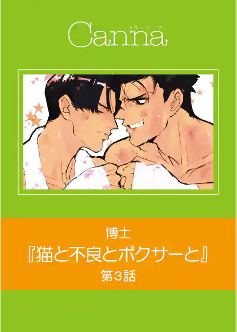 猫と不良とボクサーと