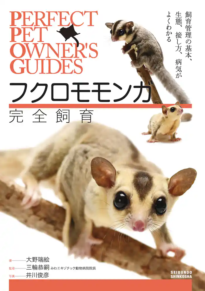 フクロモモンガ完全飼育：飼育管理の基本、生態、接し方、病気がよくわかる