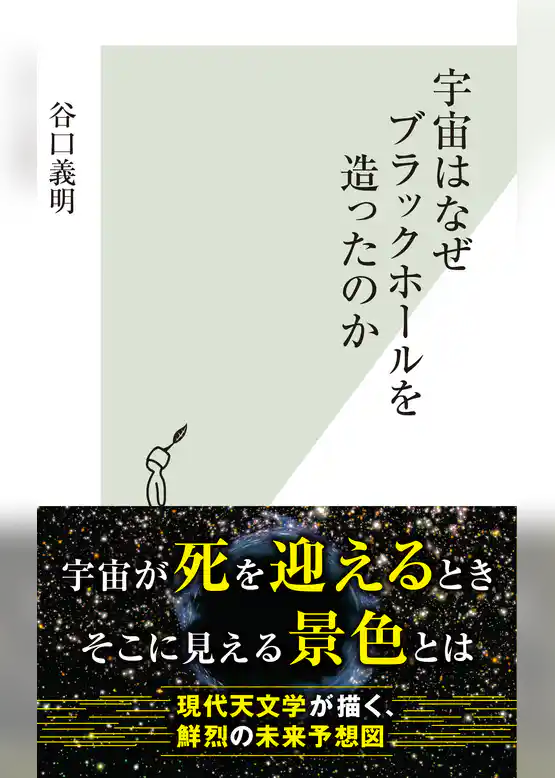 宇宙はなぜブラックホールを造ったのか