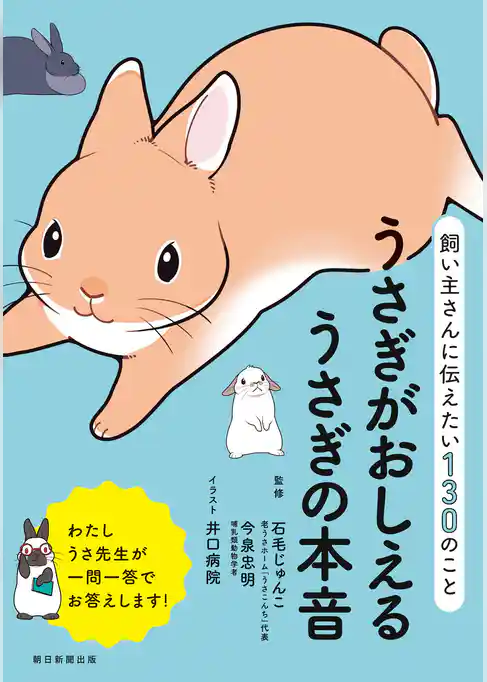 飼い主さんに伝えたい130のこと　うさぎがおしえるうさぎの本音