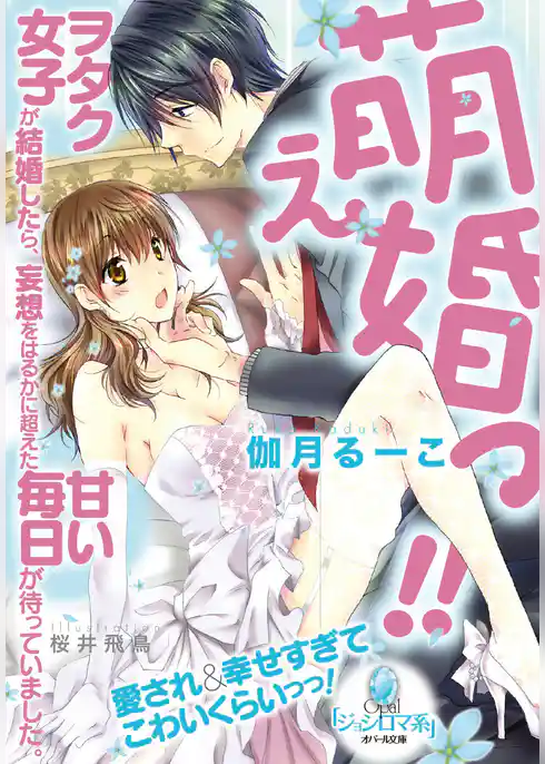 萌え婚っ！！　ヲタク女子が結婚したら、妄想をはるかに超えた甘い毎日が待っていました。