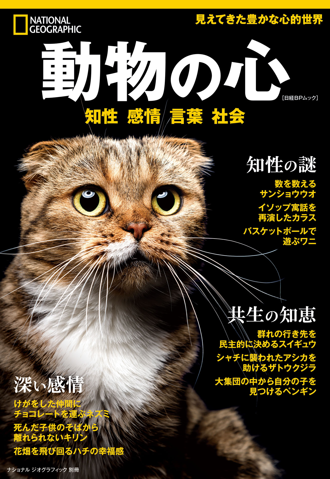 ナショナル ジオグラフィック別冊 動物の心 1巻 書籍 電子書籍 U Next 初回600円分無料