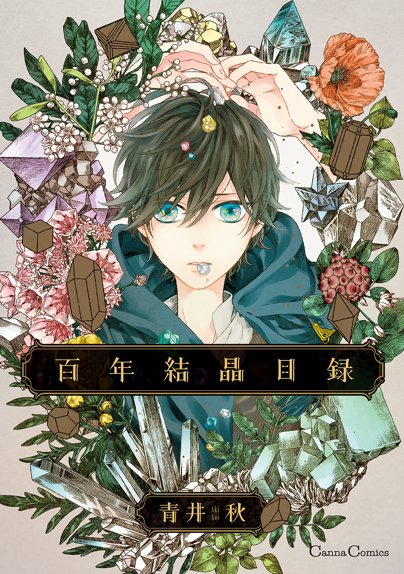 百年結晶目録 1巻 マンガ 電子書籍 U Next 初回600円分無料