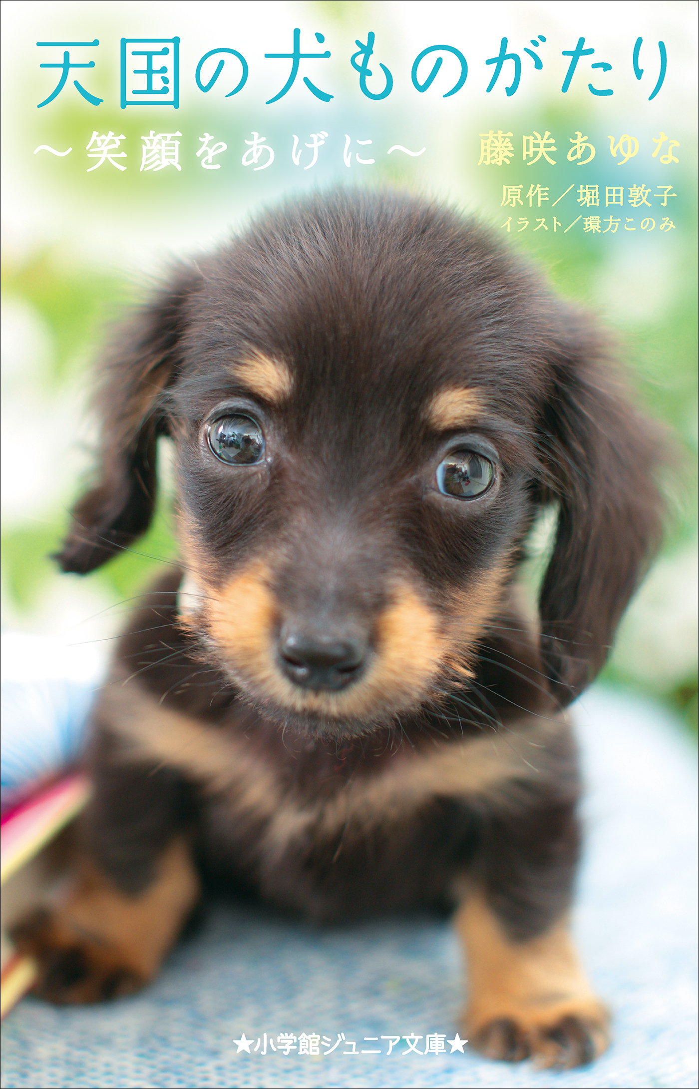 小学館ジュニア文庫 天国の犬ものがたり 笑顔をあげに ラノベ 電子書籍 U Next 初回600円分無料