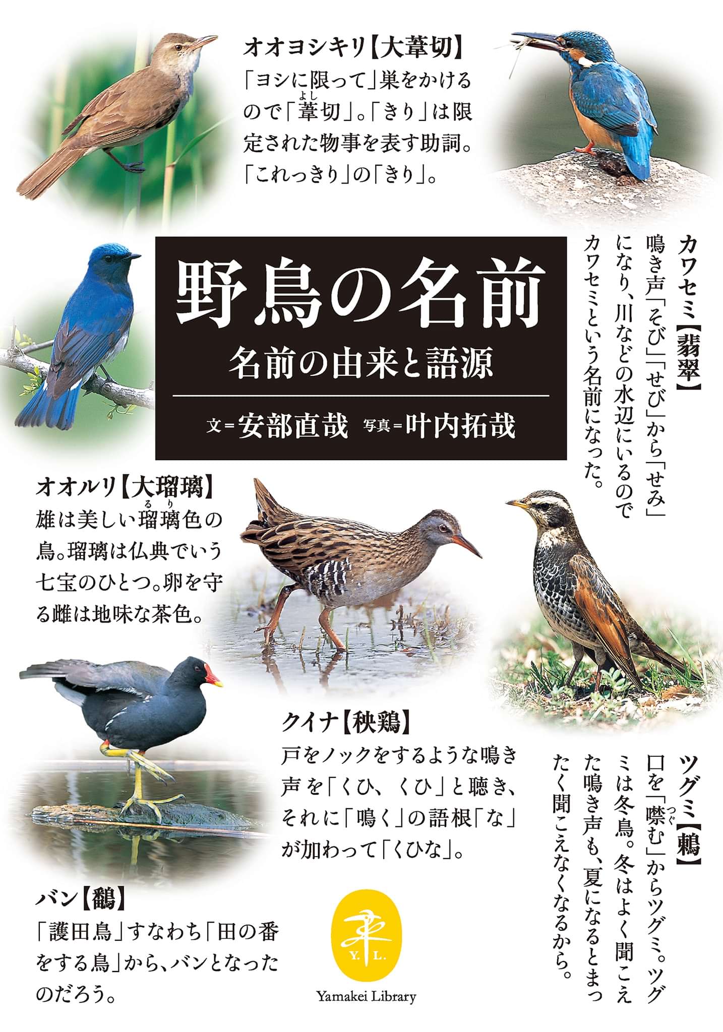 ヤマケイ文庫 野鳥の名前 名前の由来と語源 書籍 電子書籍 U Next 初回600円分無料