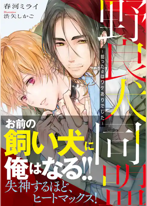 野良犬同盟　～拾ったαはワケありでした～