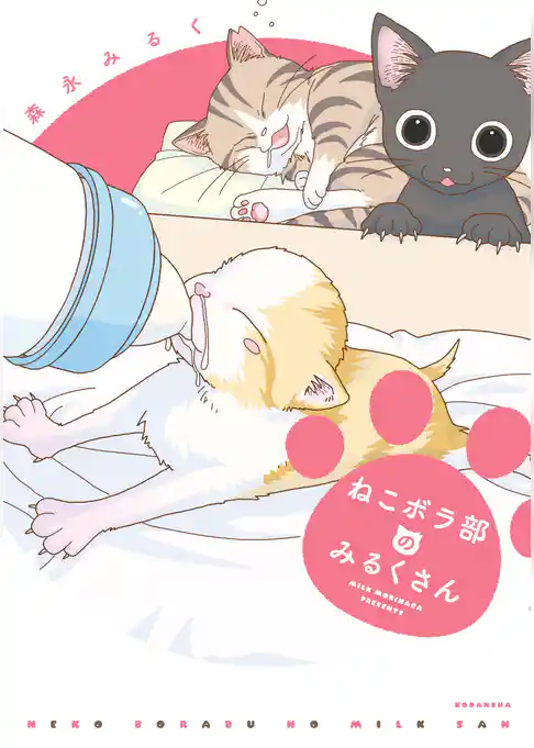 ねこボラ部のみるくさん