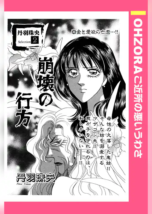 崩壊の行方 【単話売】