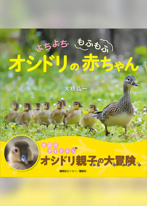 よちよち　もふもふ　オシドリの赤ちゃん