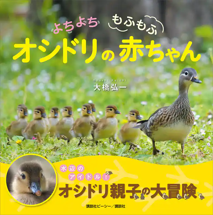 よちよち もふもふ オシドリの赤ちゃん