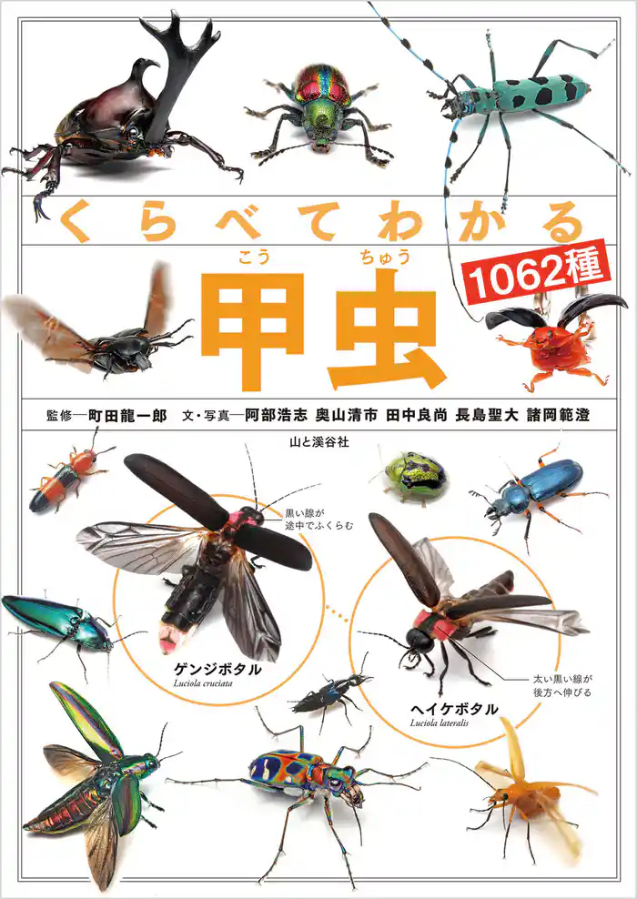 くらべてわかる甲虫1062種